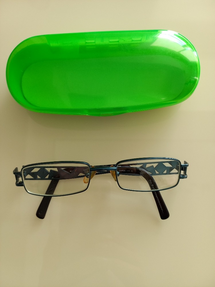 Dětské brýlové obruby Shrek