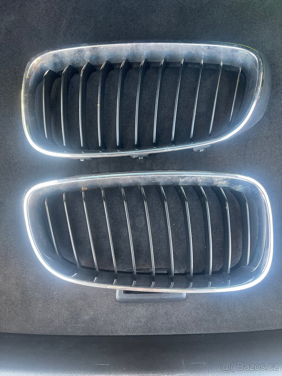Ledvinky F34