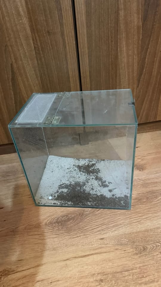 Terarium