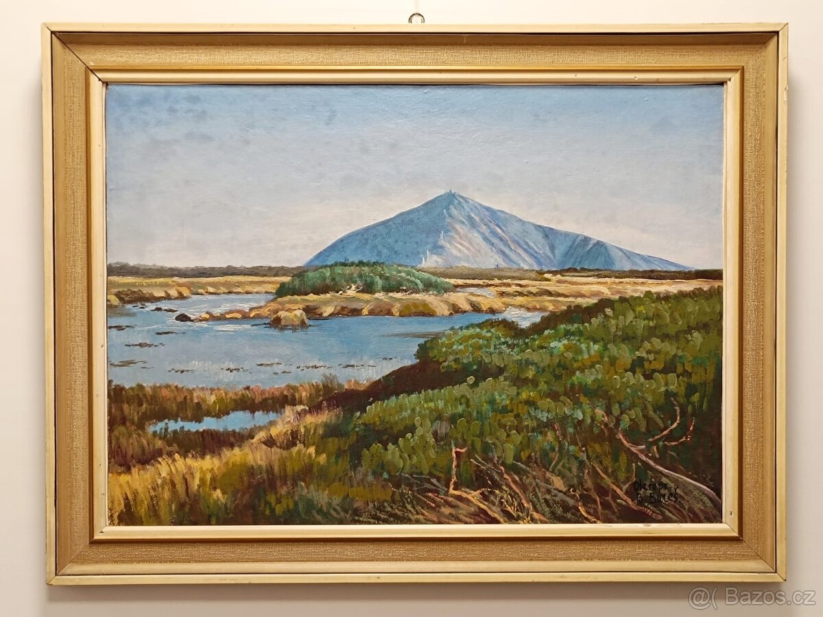 Obraz B. Bureš Sněžka, olej na plátně 55x66