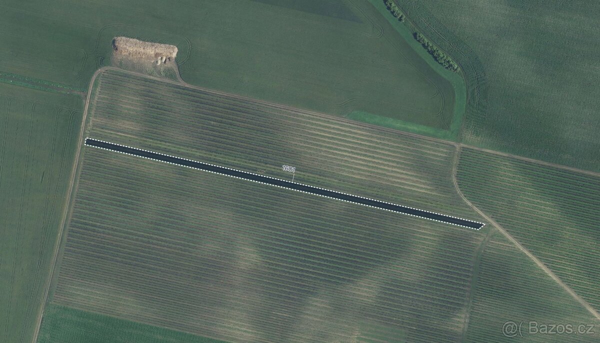 Sady, vinice, prodej, Terezín, Hodonín