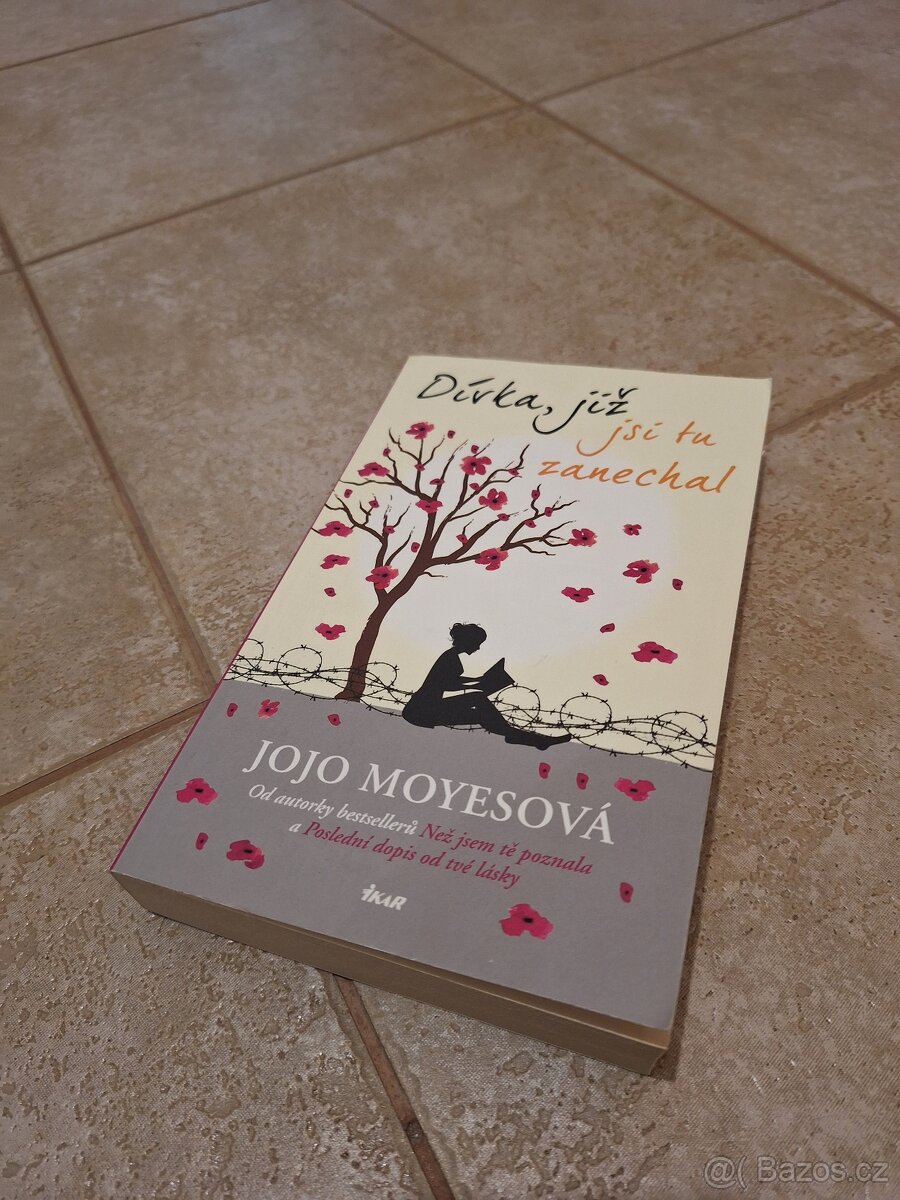 Jojo Moyesová - Dívka, již jsi tu zanechal