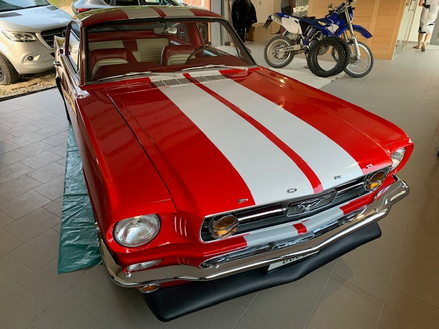 Ford Mustang Fastback GT 350