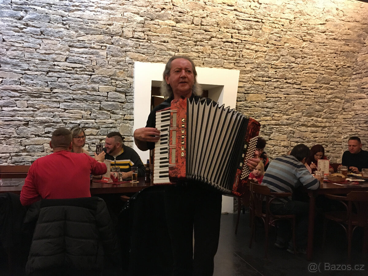 Harmonikář