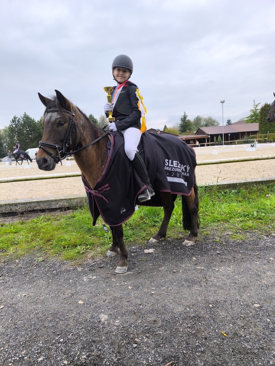Sportovní pony