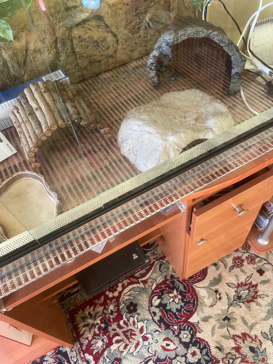 Terárium pro želvu