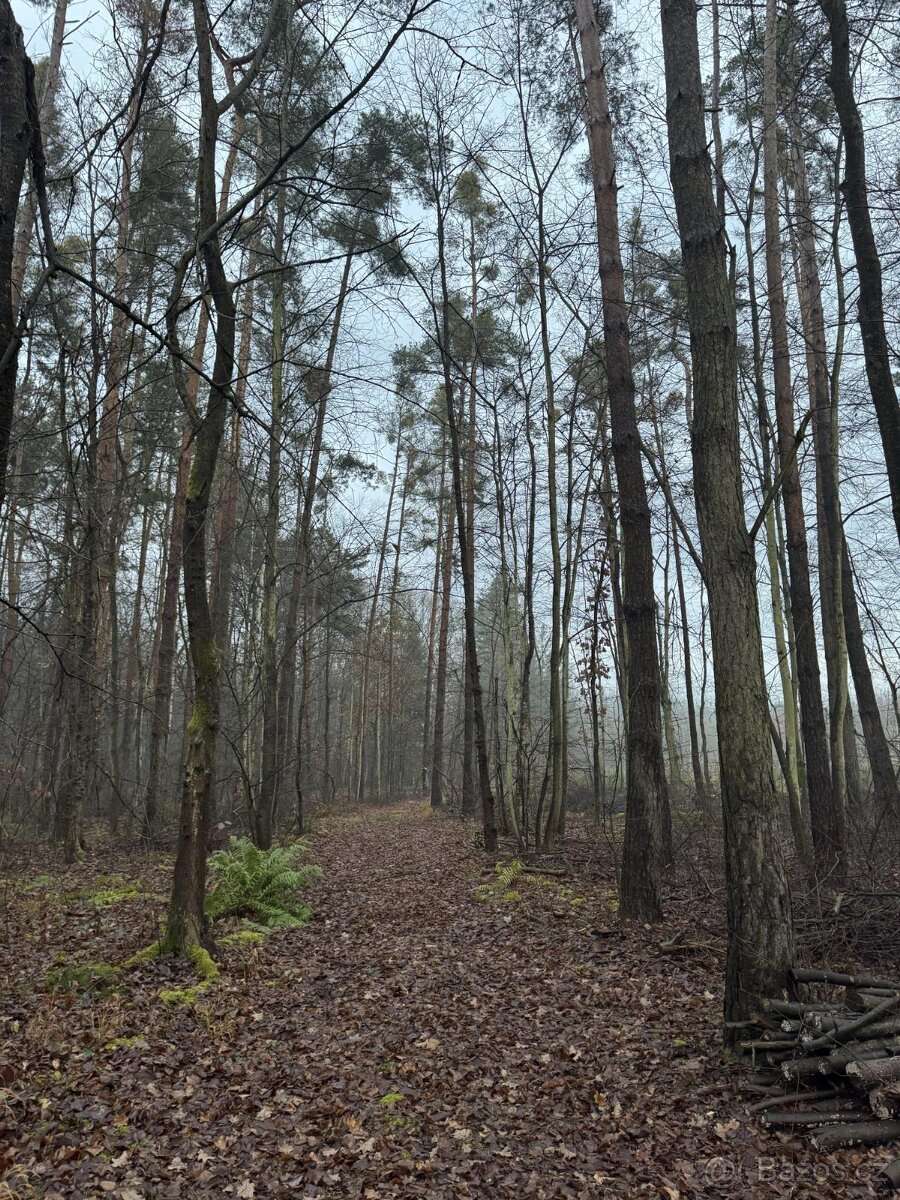 Prodám pozemky v k.ú. Břehy