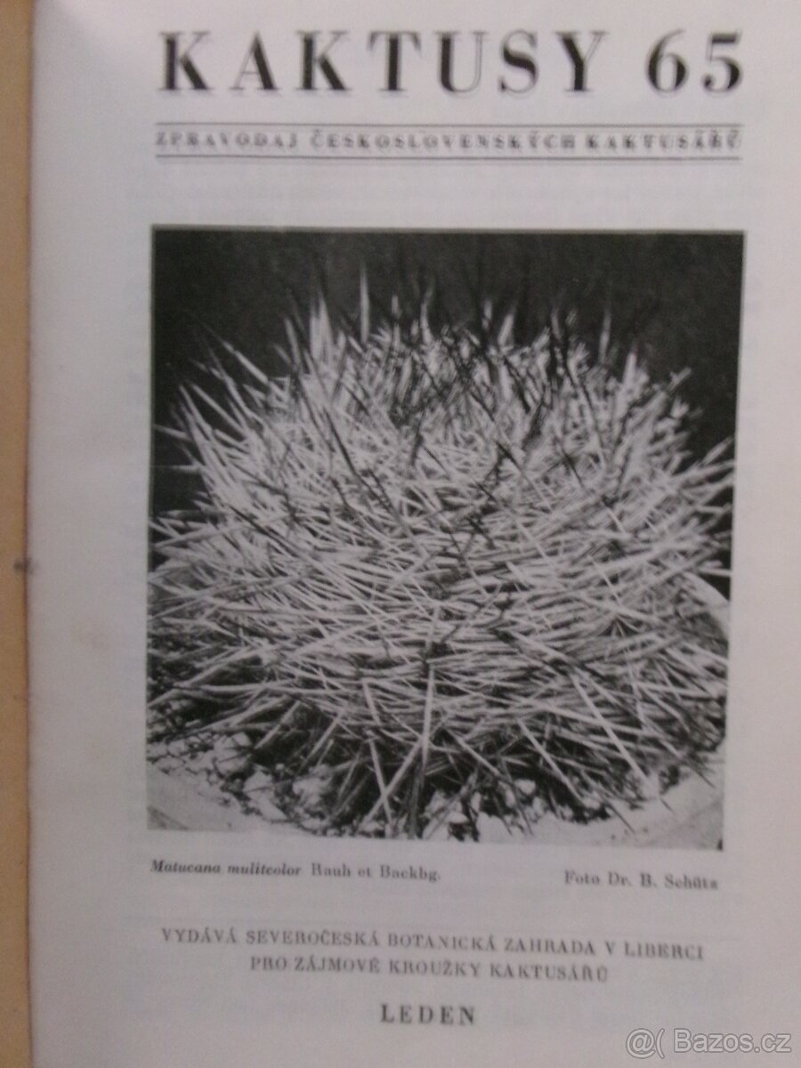Kaktusy 1965 - 1985 - vázané časopisy.
