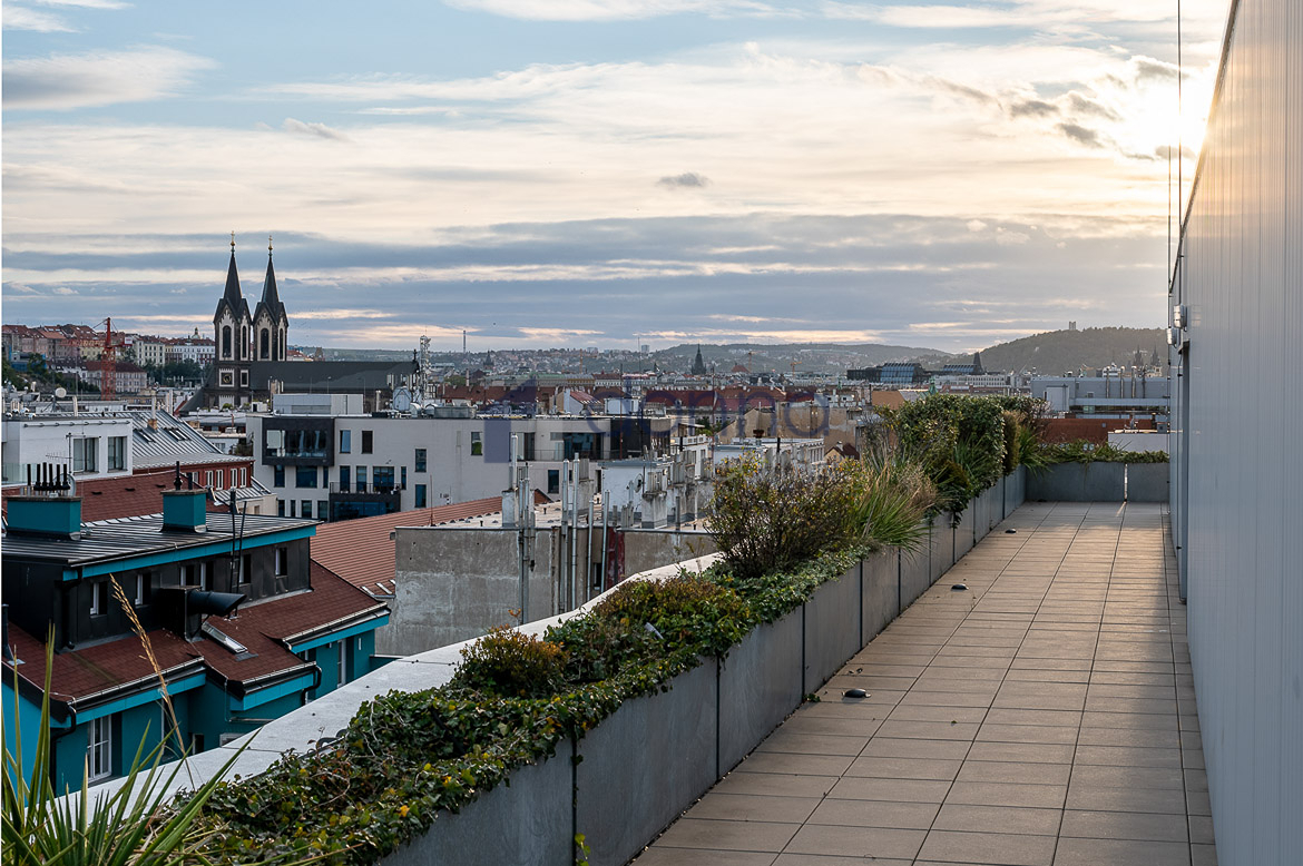Pronájem kanceláře 295 m² Pobřežní, Praha - Karlín