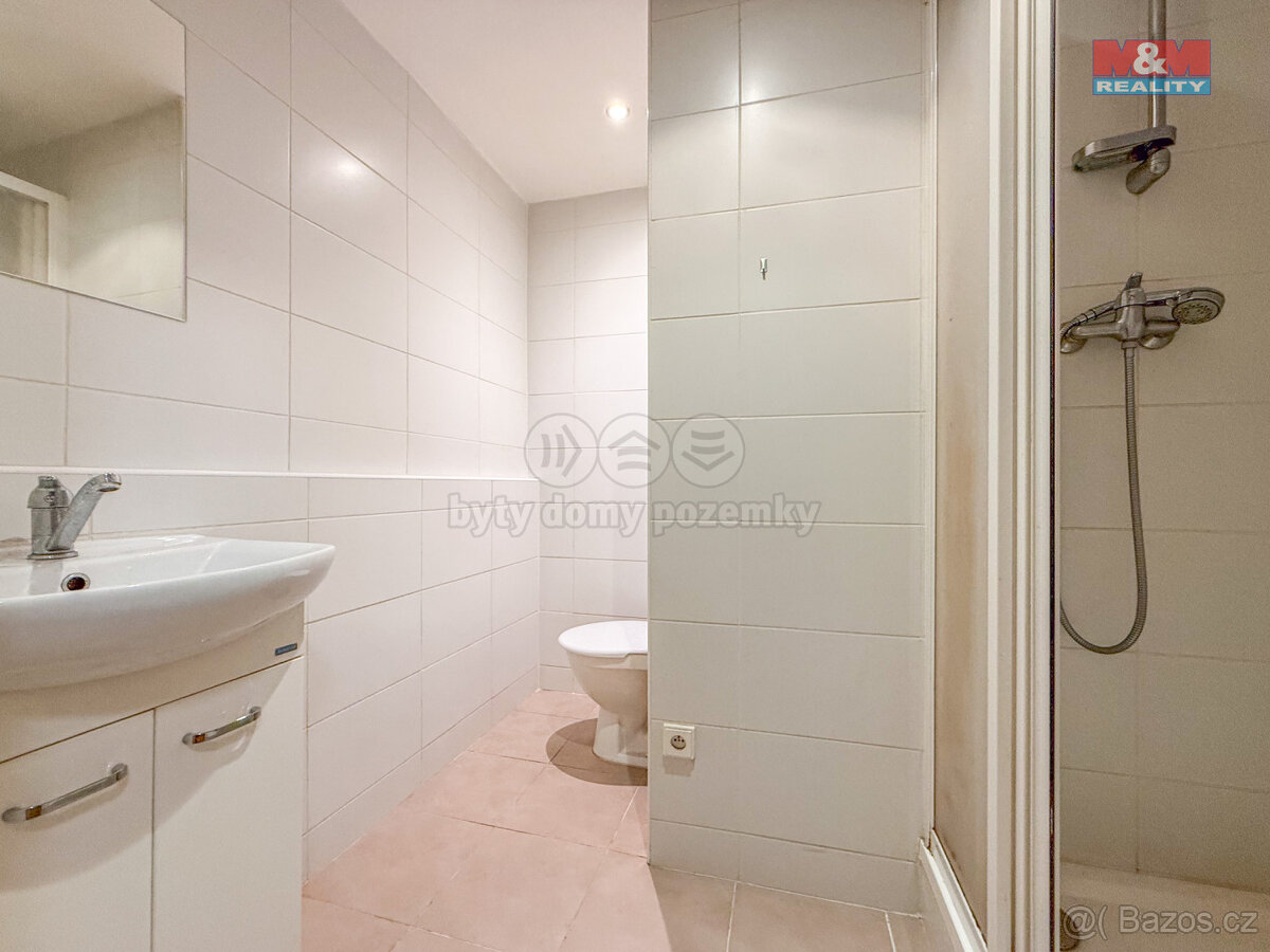 Pronájem bytu 1+1, 38 m², Ostrava, ul. U Haldy