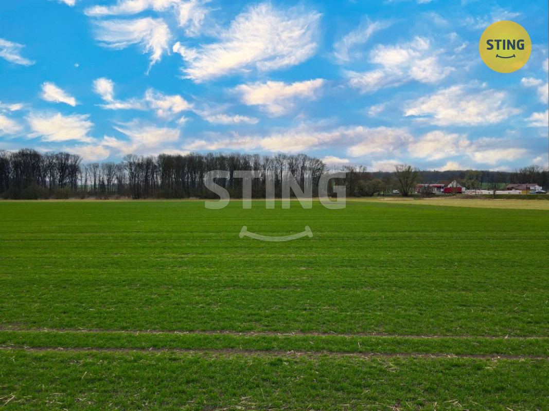 Prodej pozemku pro zemědělské účely, 132361