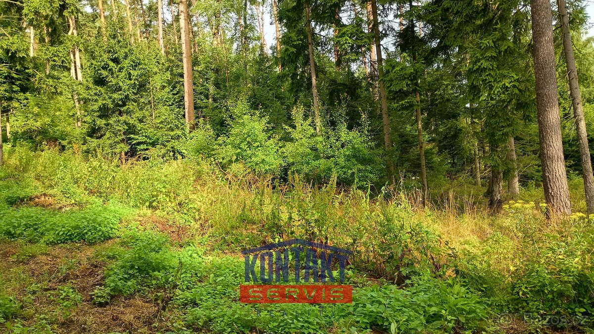 Prodej lesa 2 562 m², Bušanovice, ev.č. VŠ-7821