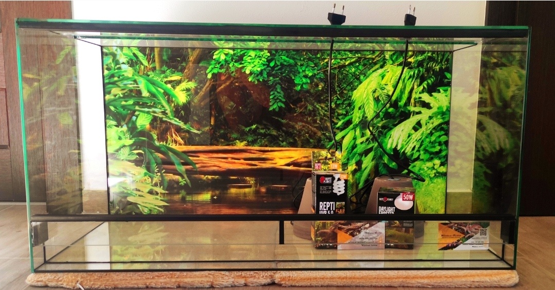 Terarium Nové 80x40x40cm , 2x světla , polyuretanové pozadi,