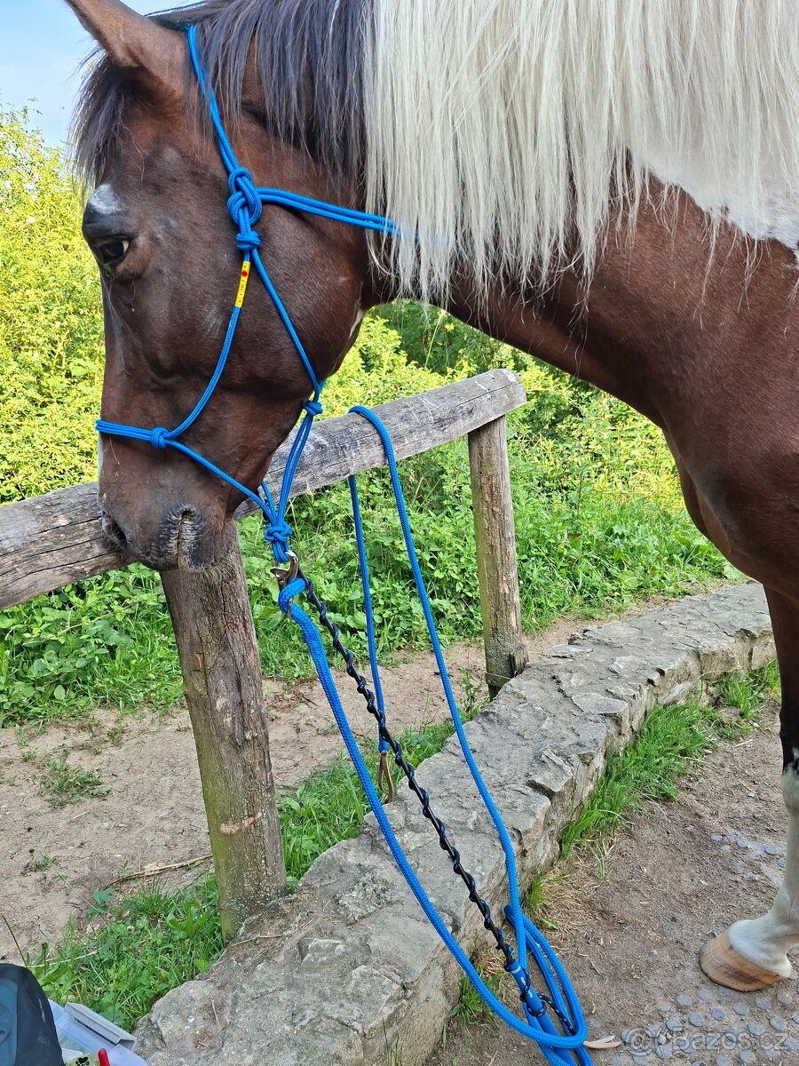Výcviková sada na Horsemanship