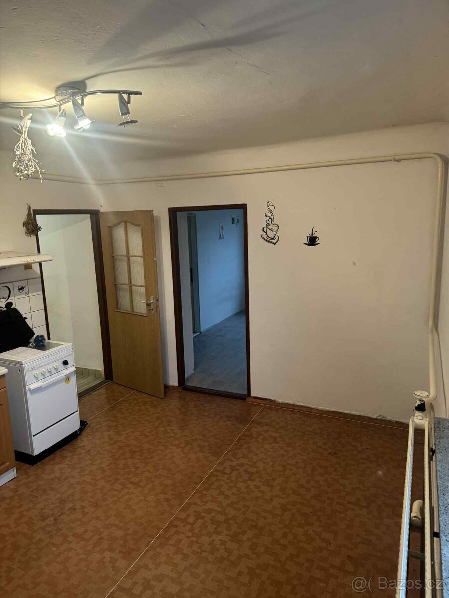 byt 2+ 1  se zahradkou , pro pracujici i Cizince