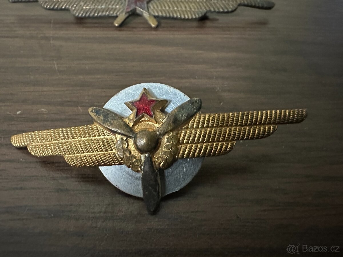 Odznak špecialista ILS - ČSLA