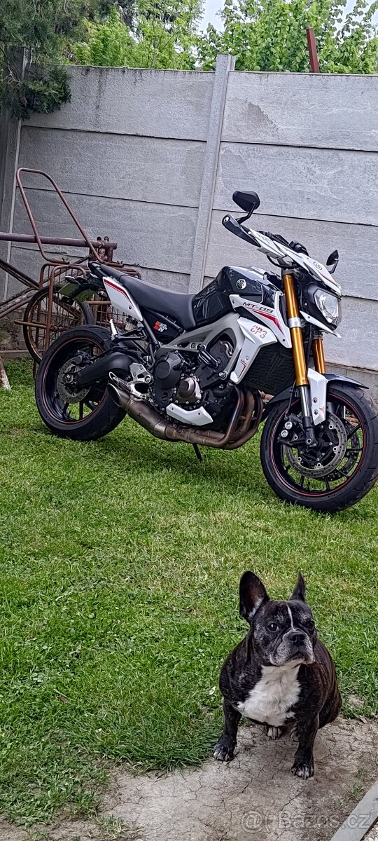 Prodám Yamaha MT 09 street rally