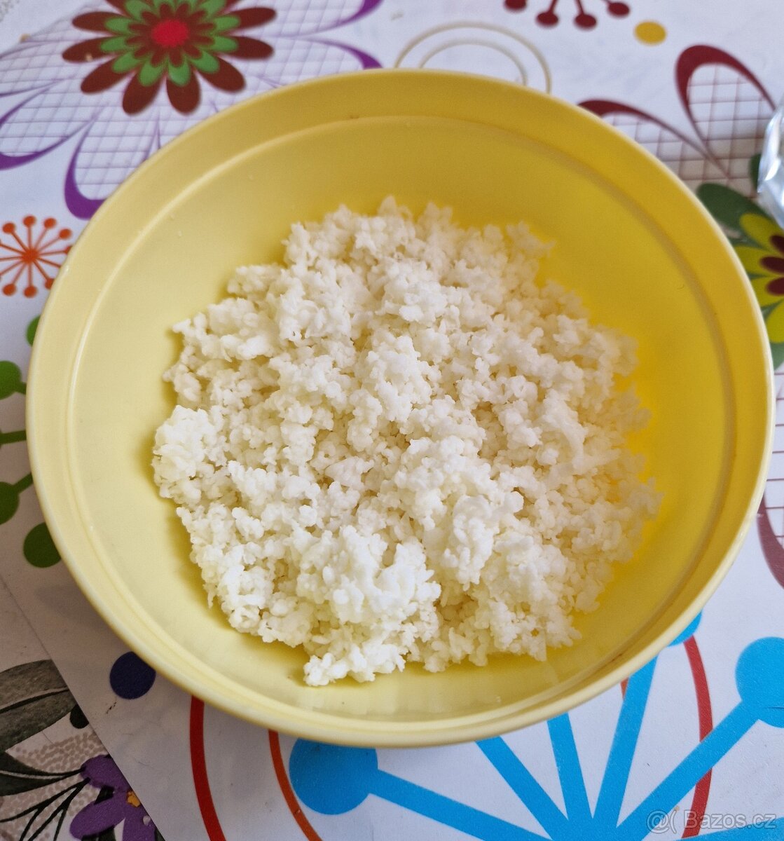 Tibetská kefírová houba