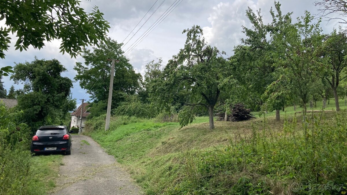 Bývalá stavební parcela (nyní sad) v Louce 191 m²