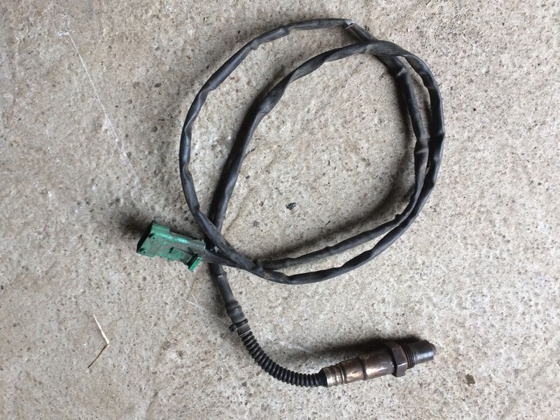 Lambda sonda asi Felicia, Favorit.