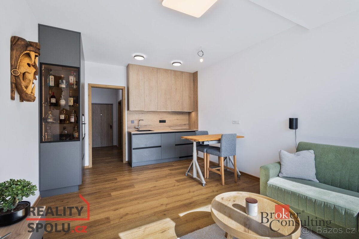 Pronájem, byty/1+kk, 31 m2, Železná 3061/12, Jižní Předměstí