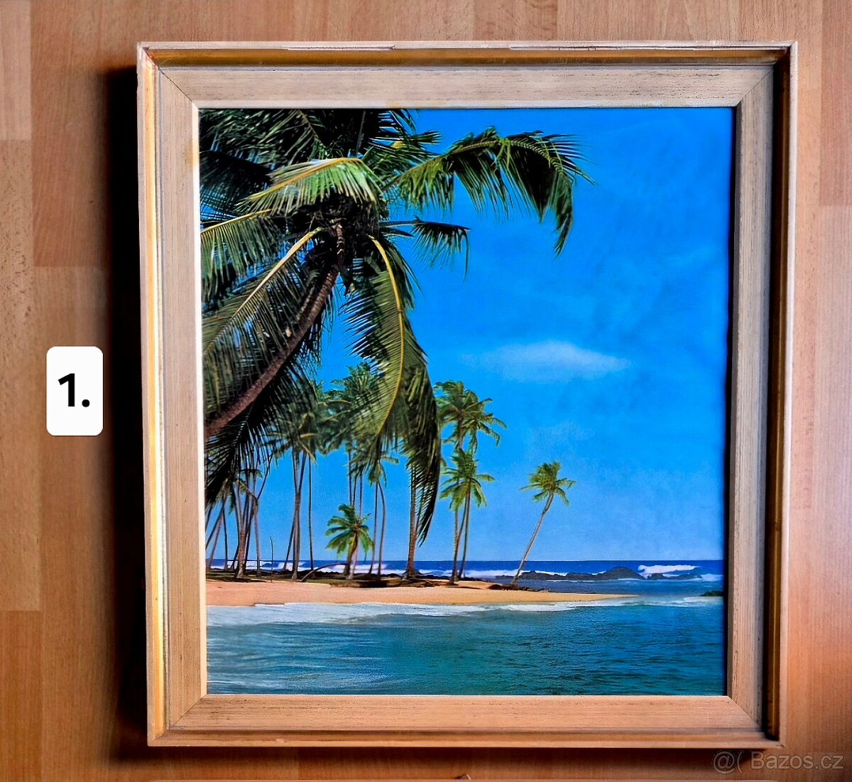 Obrazy tropické pláže