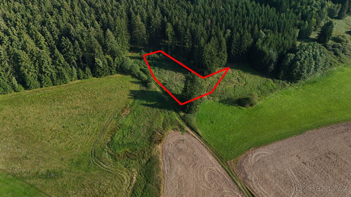 Pozemek na tinyhouse maringotku Starec u Kdyně LEVNĚ