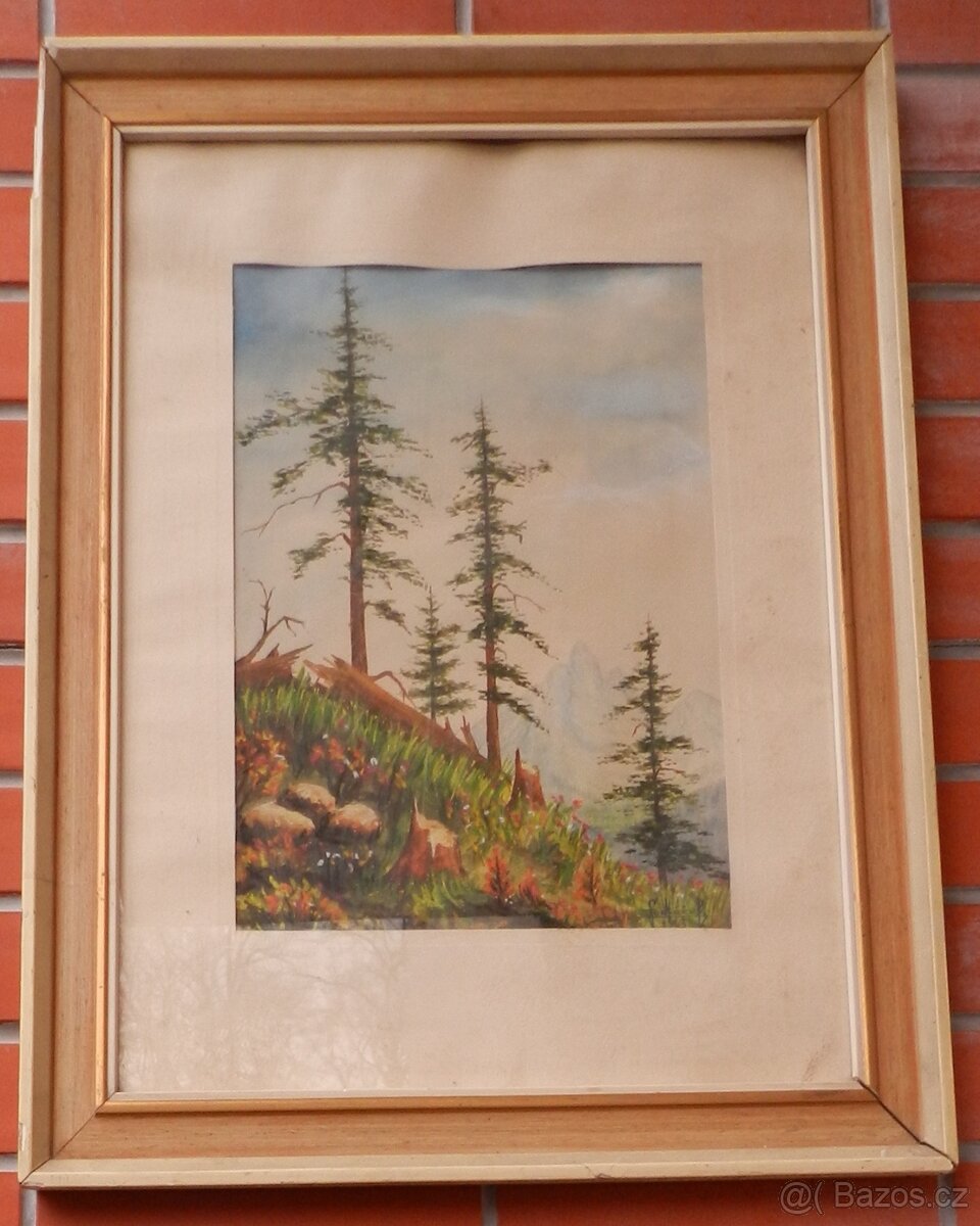 starožitný obraz Sedláček V-Rúbaniste