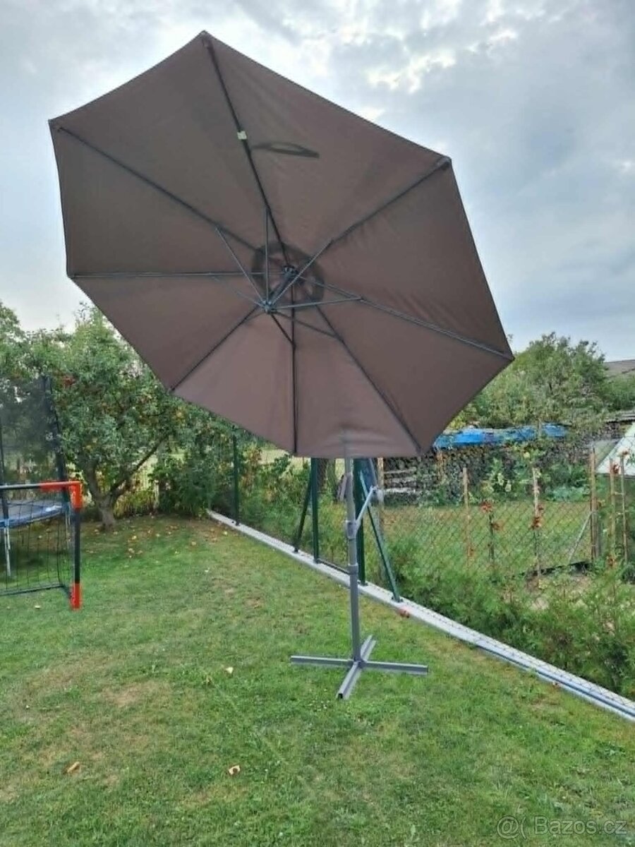 Slunečník