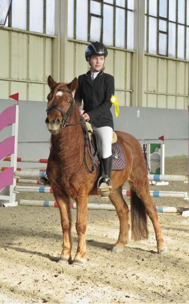 Ponyvalášek 8 let