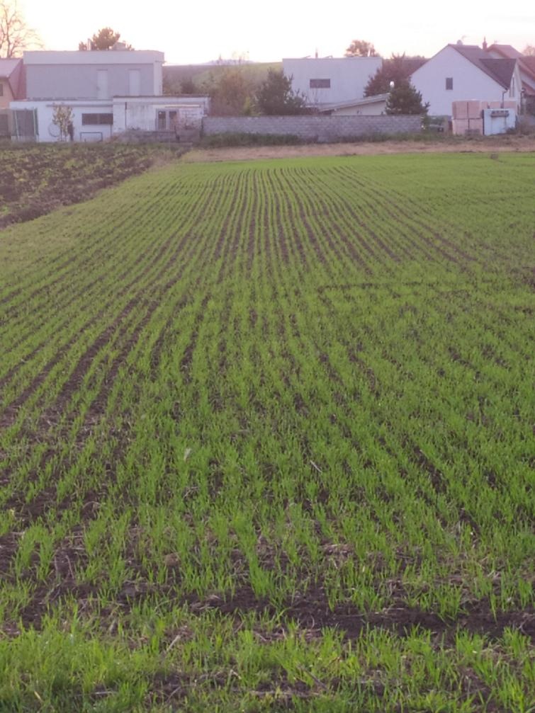 Pozemek Kobylnice u Brna