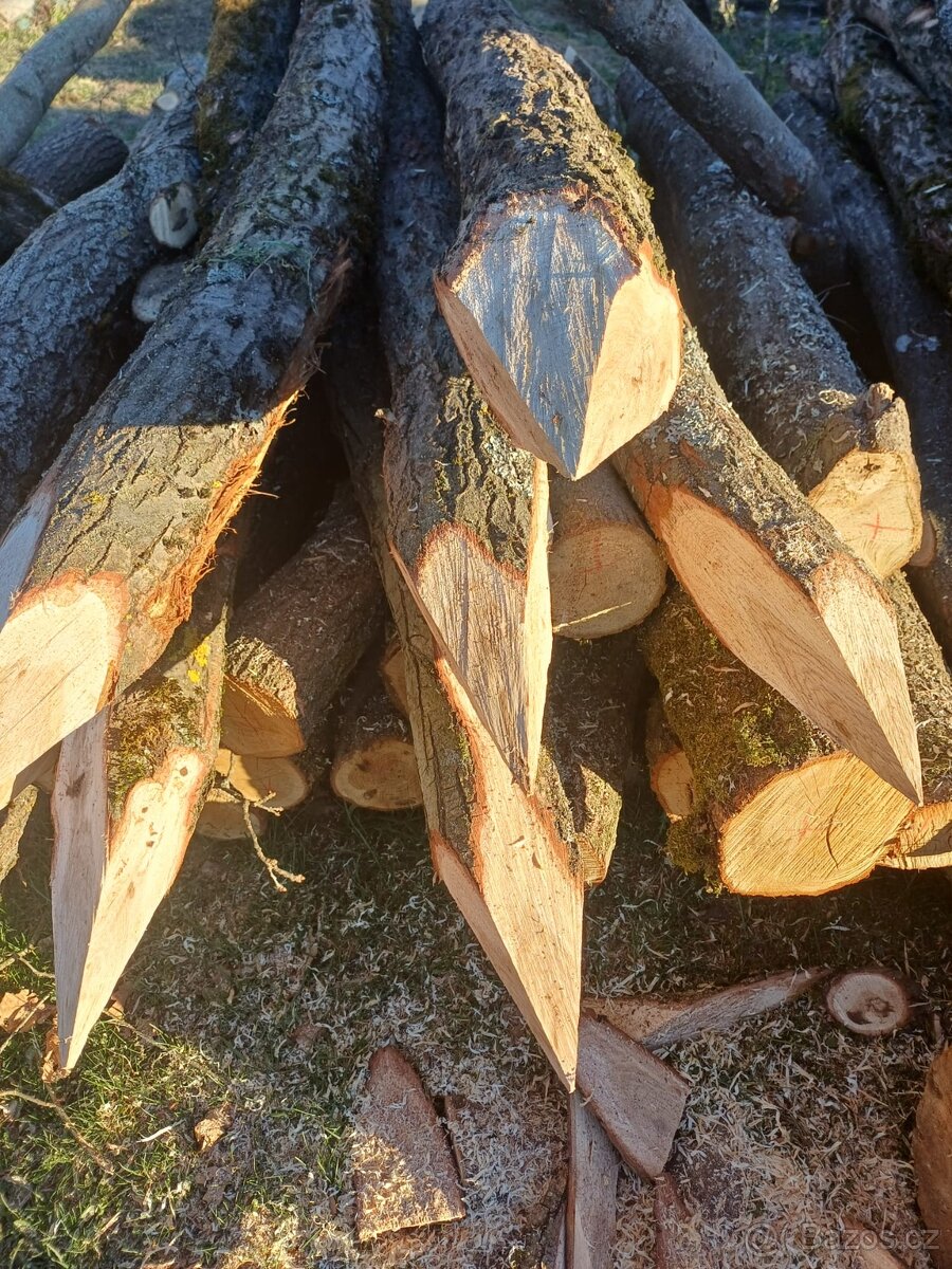 Dubové kůly silné