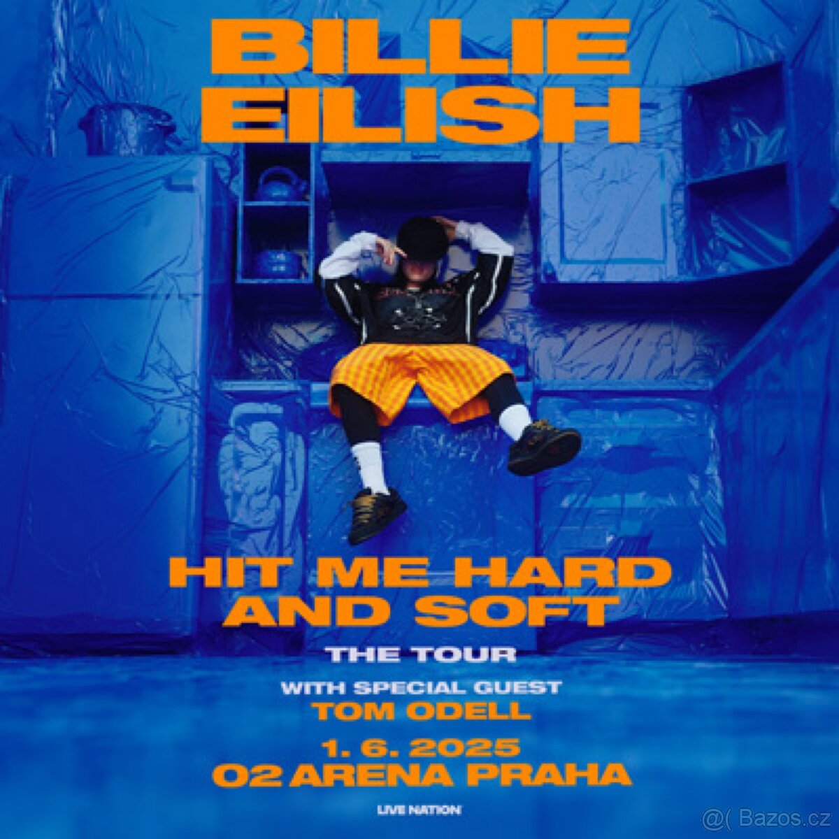 Vstupenka Billie Eilish - sezení