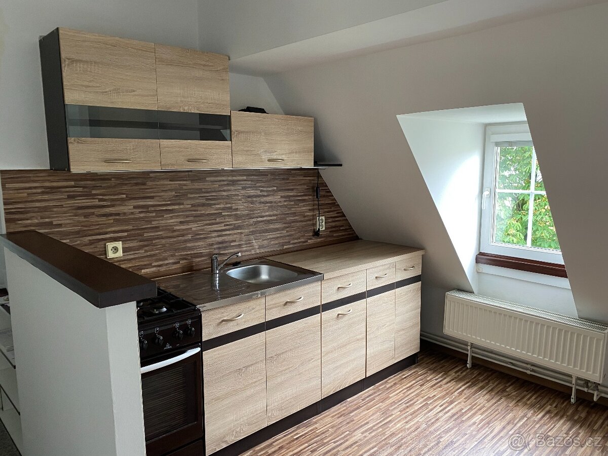 Prodej bytu 1+KK, 42m2, Těšínská ,Opava