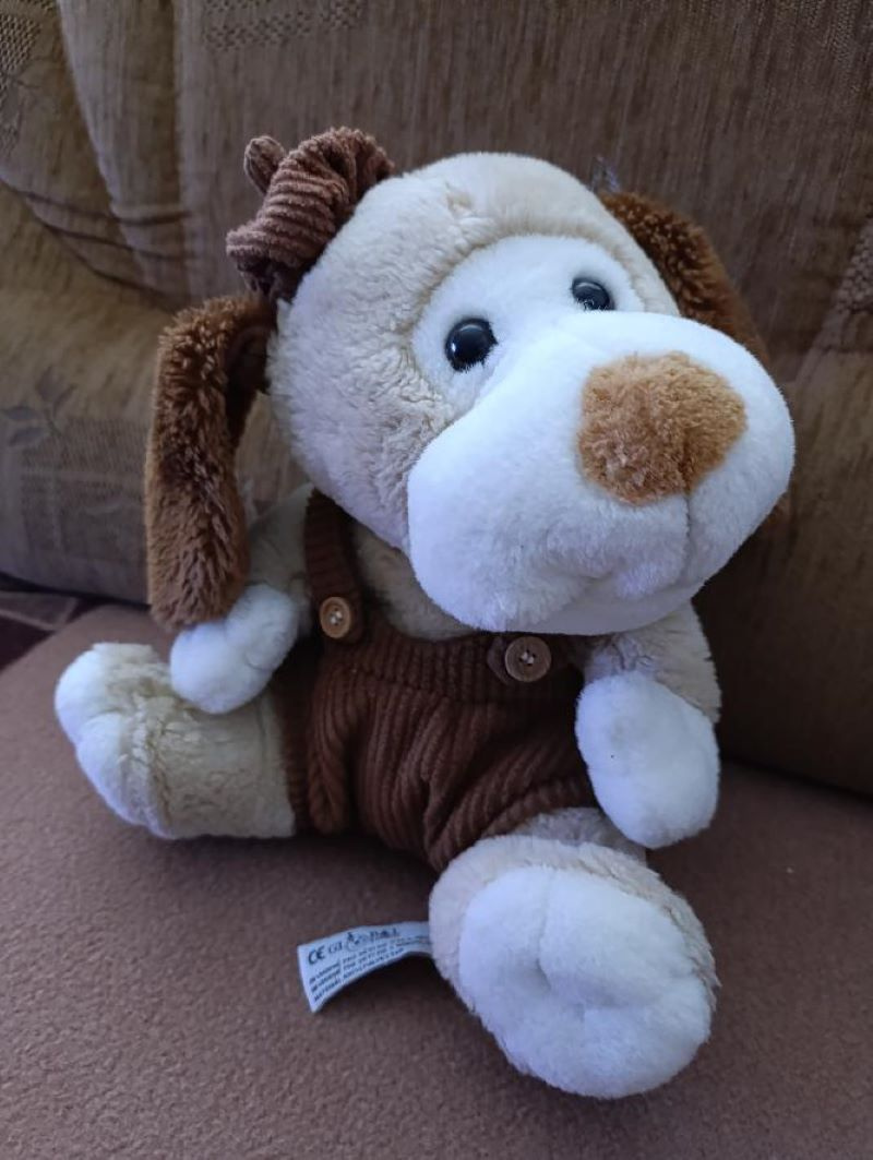 Plyšáci pěkní, čistí (10ks)poštovné zdarma