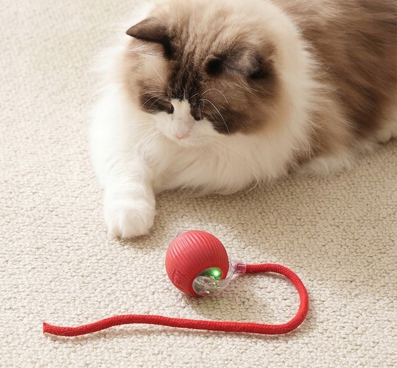 Interaktivní míč pro kočky a psi - PO2