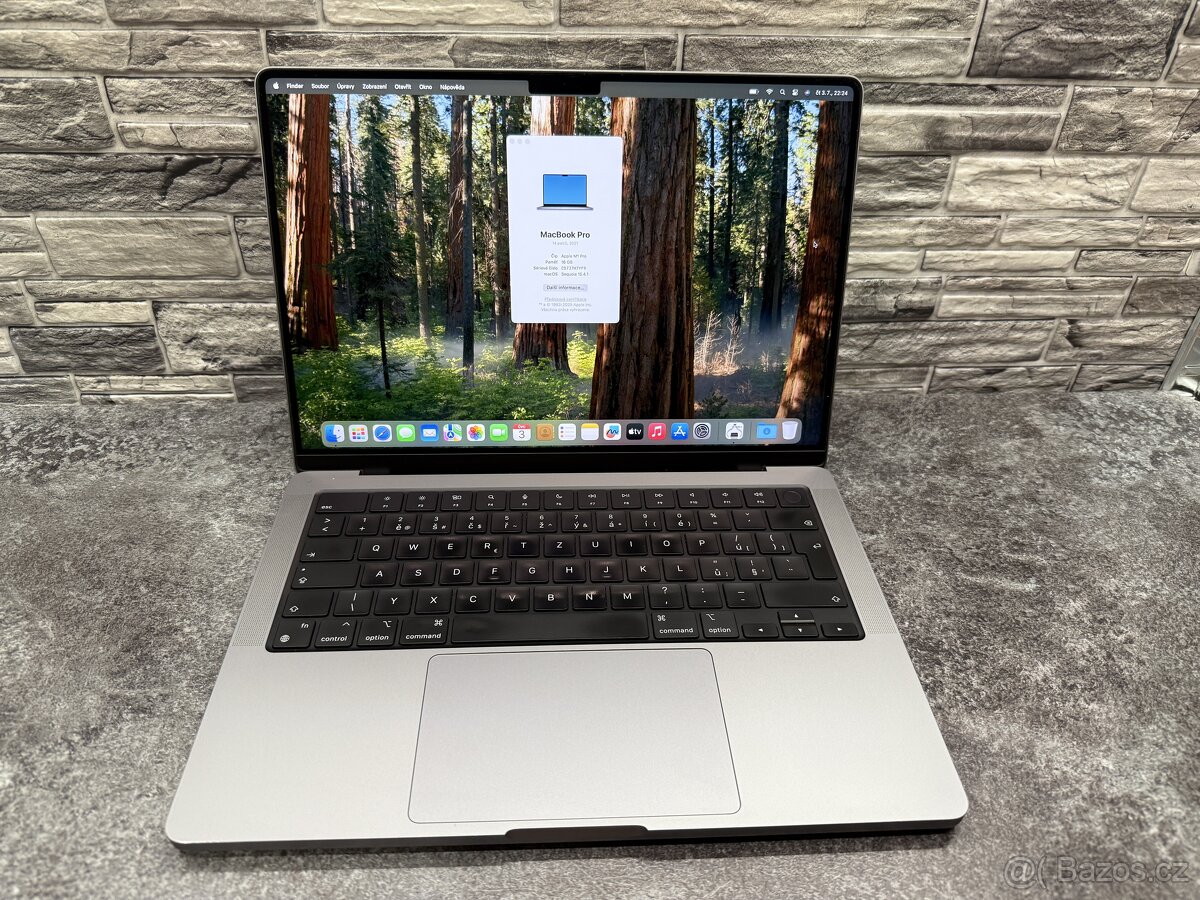 MacBook Pro 14” M1 Pro / 16GB / 500GB DPH