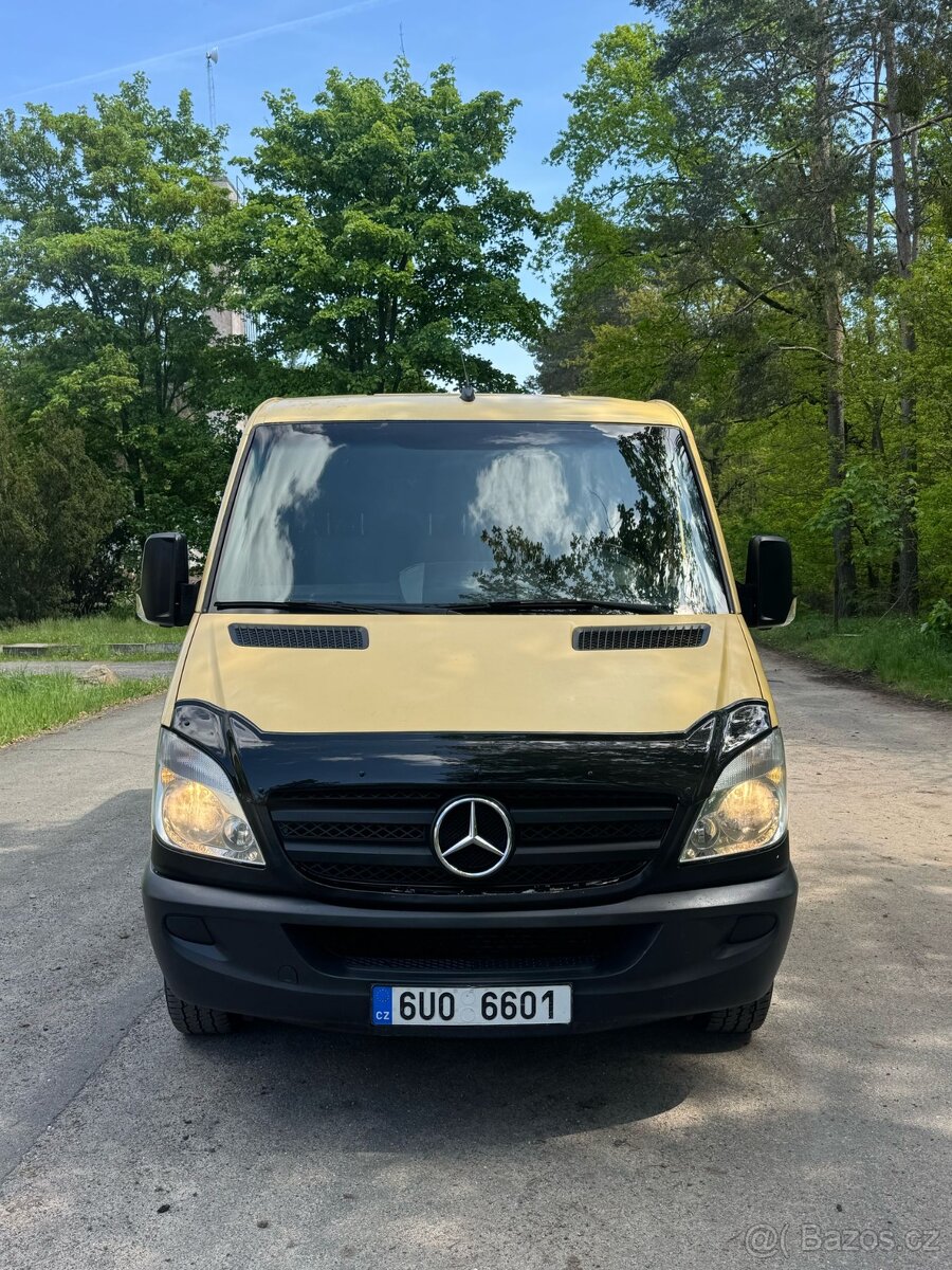 Sprinter 9 mist