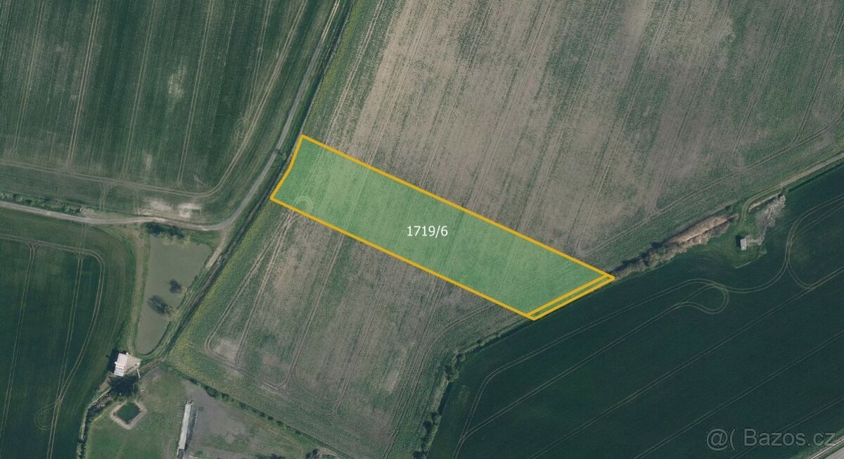 Zemědělská půda, prodej, Dobrovice, Mladá Boleslav