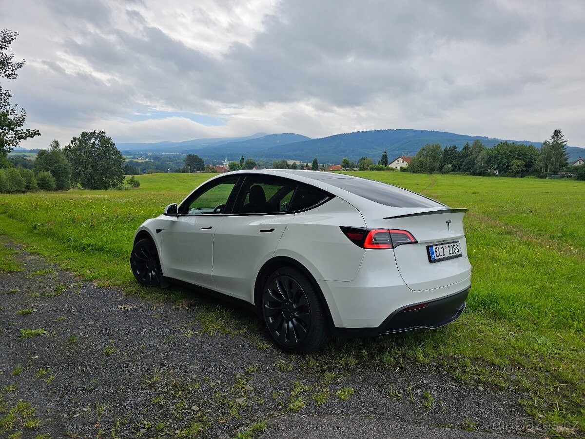 Tesla model Y Performance