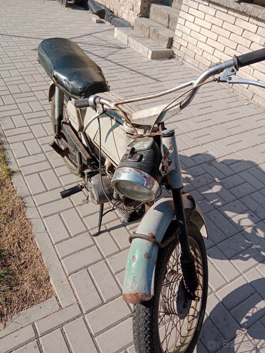 Jawa mustang