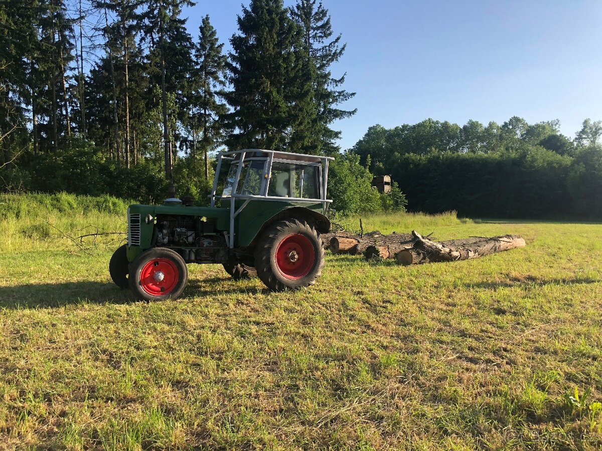 Koupím dřevo na pokácení,i topoly.