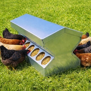 Krmitko oboujstranne 20-litrove pro drubez