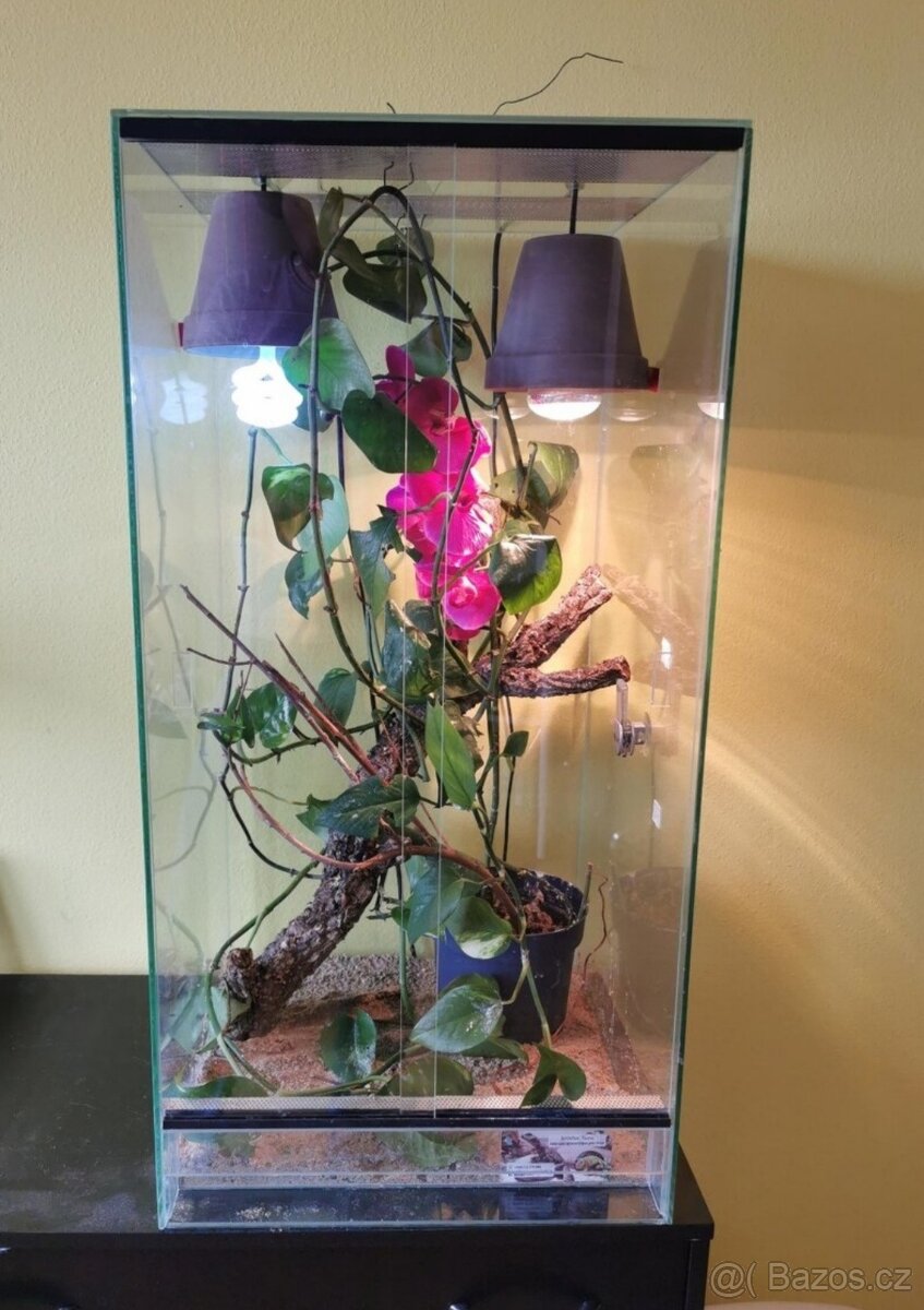Terárium pro chameleona 50x50x80cm nepoužité nové, 5mm sklo,