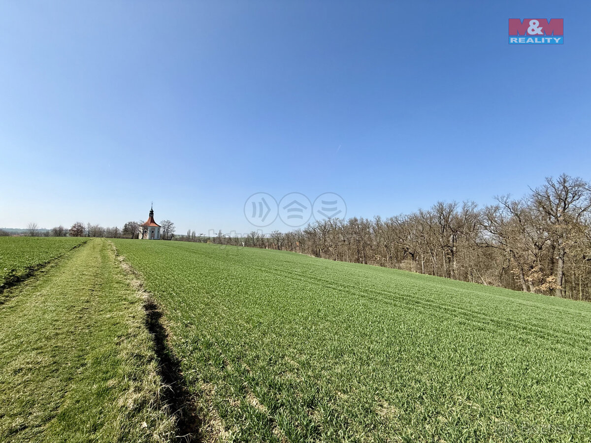 Prodej pole, Číčovice