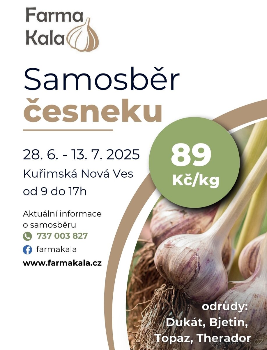 Samosběr česneku