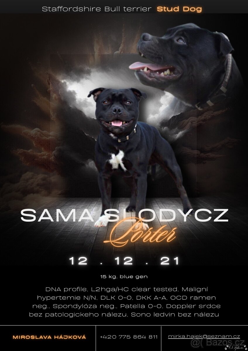 Stafordšírský bulteriér krytí