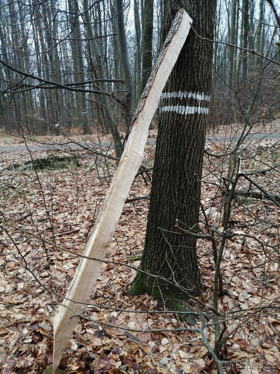 Dubové kůly na ohrady