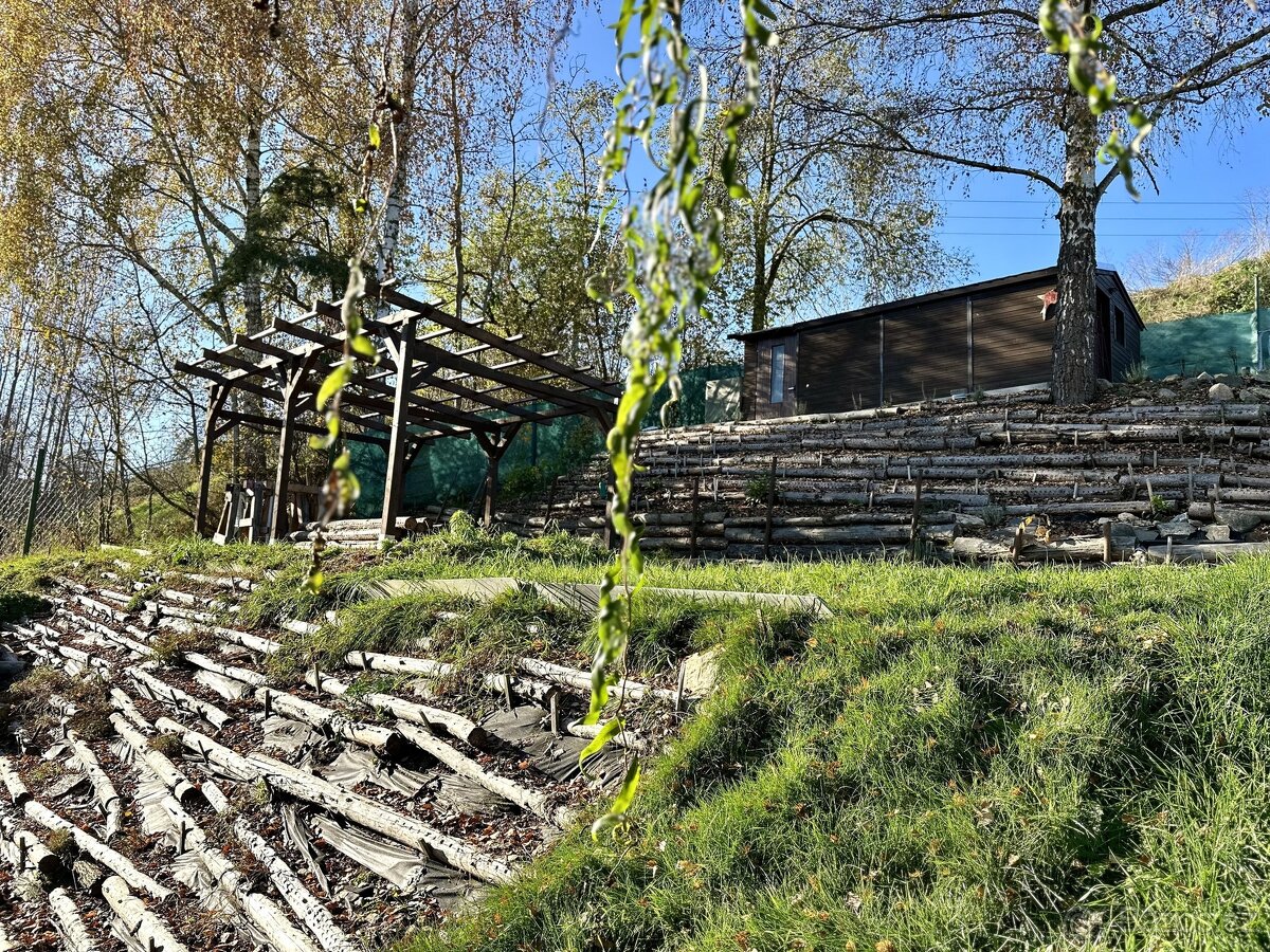 Zahrada (365m2) s chatou (16 m2), pergolou a kolnou - Tachov