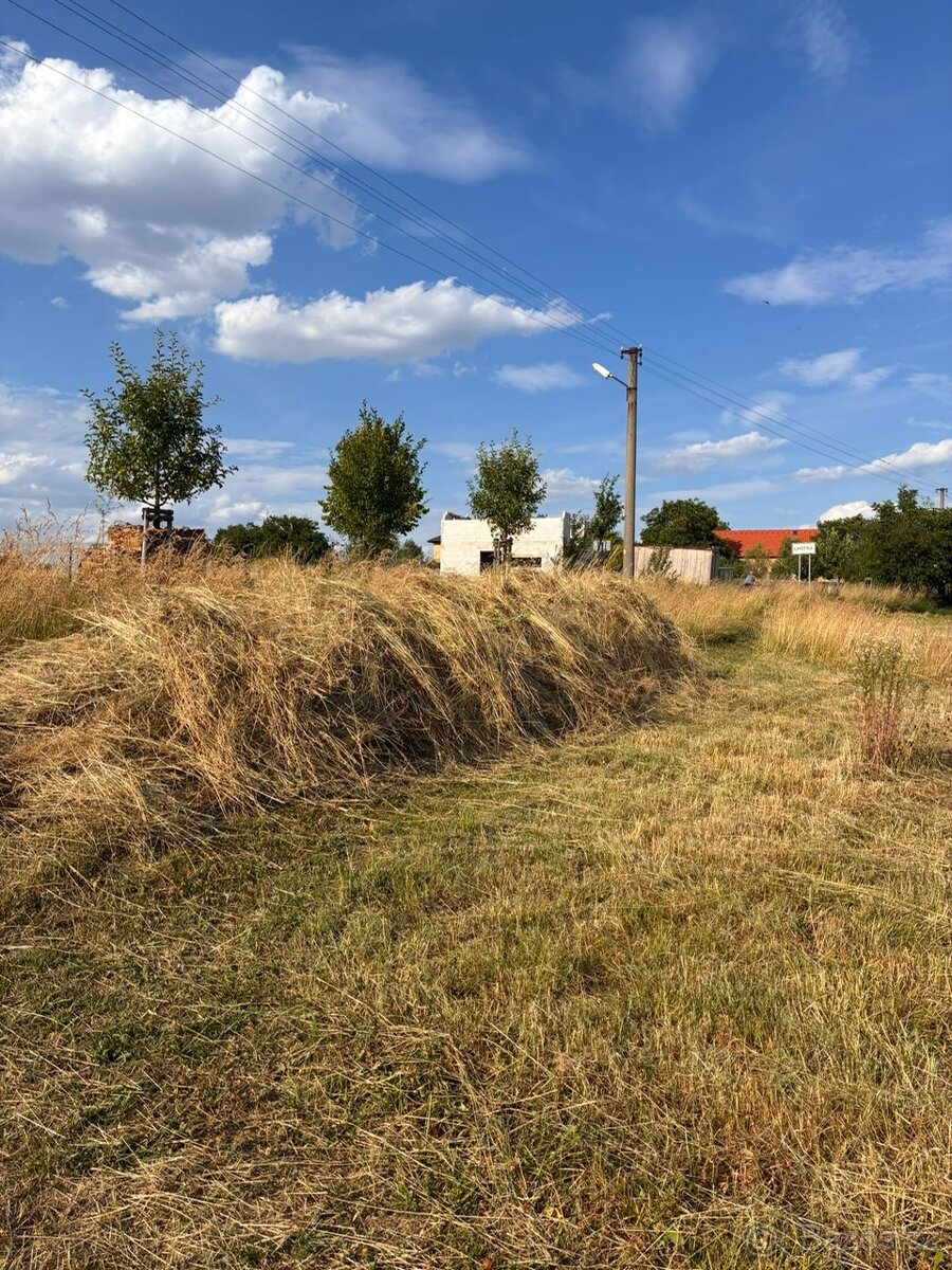 SENO ZDARMA